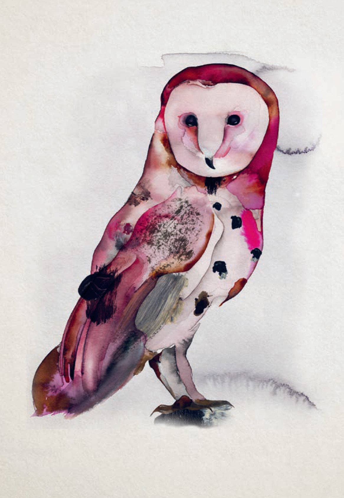Bird Box: 100 Postcards by 10 Artists - Image 13