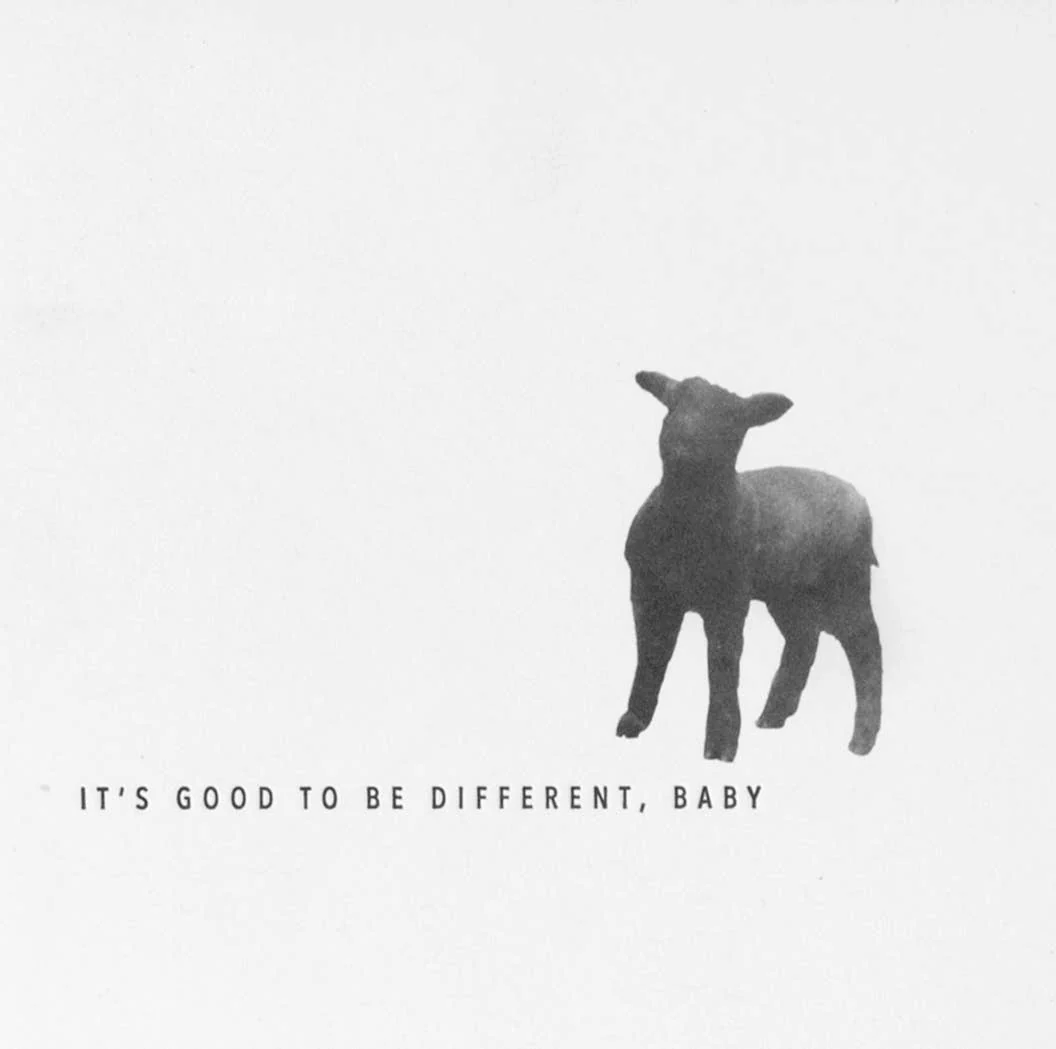 Black Sheep Its Good to Be Different, Baby Card - Image 2