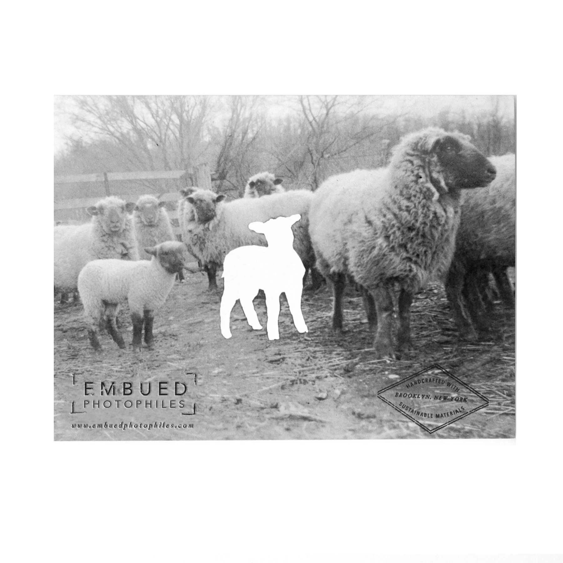 Black Sheep Its Good to Be Different, Baby Card - Image 3