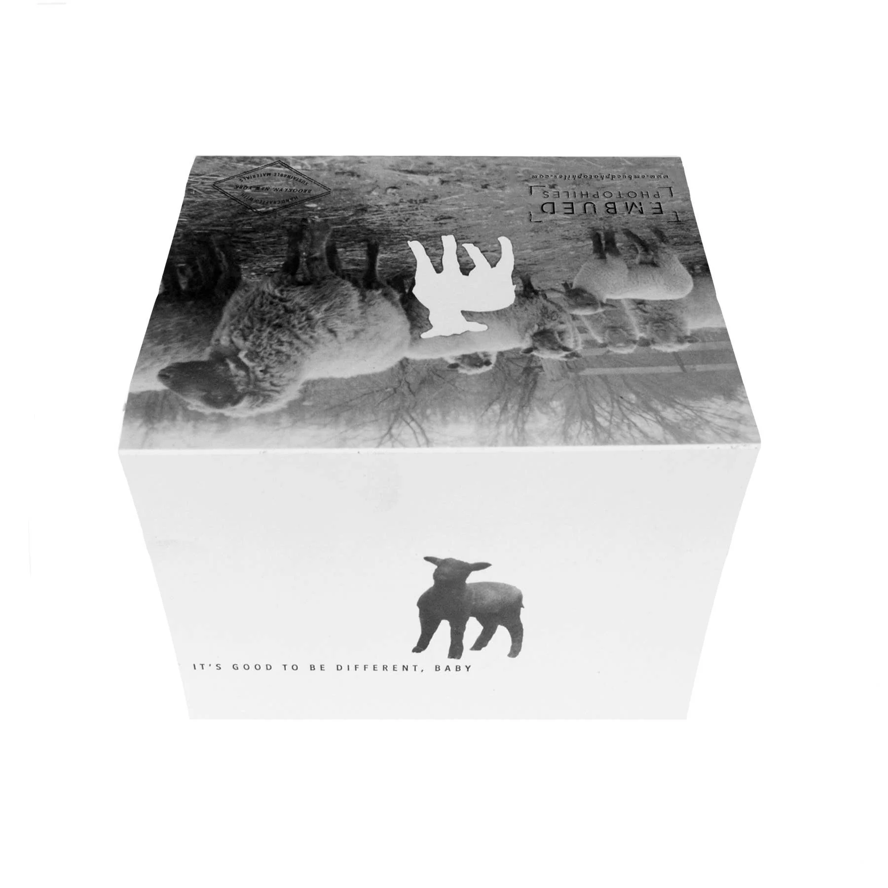 Black Sheep Its Good to Be Different, Baby Card - Image 5