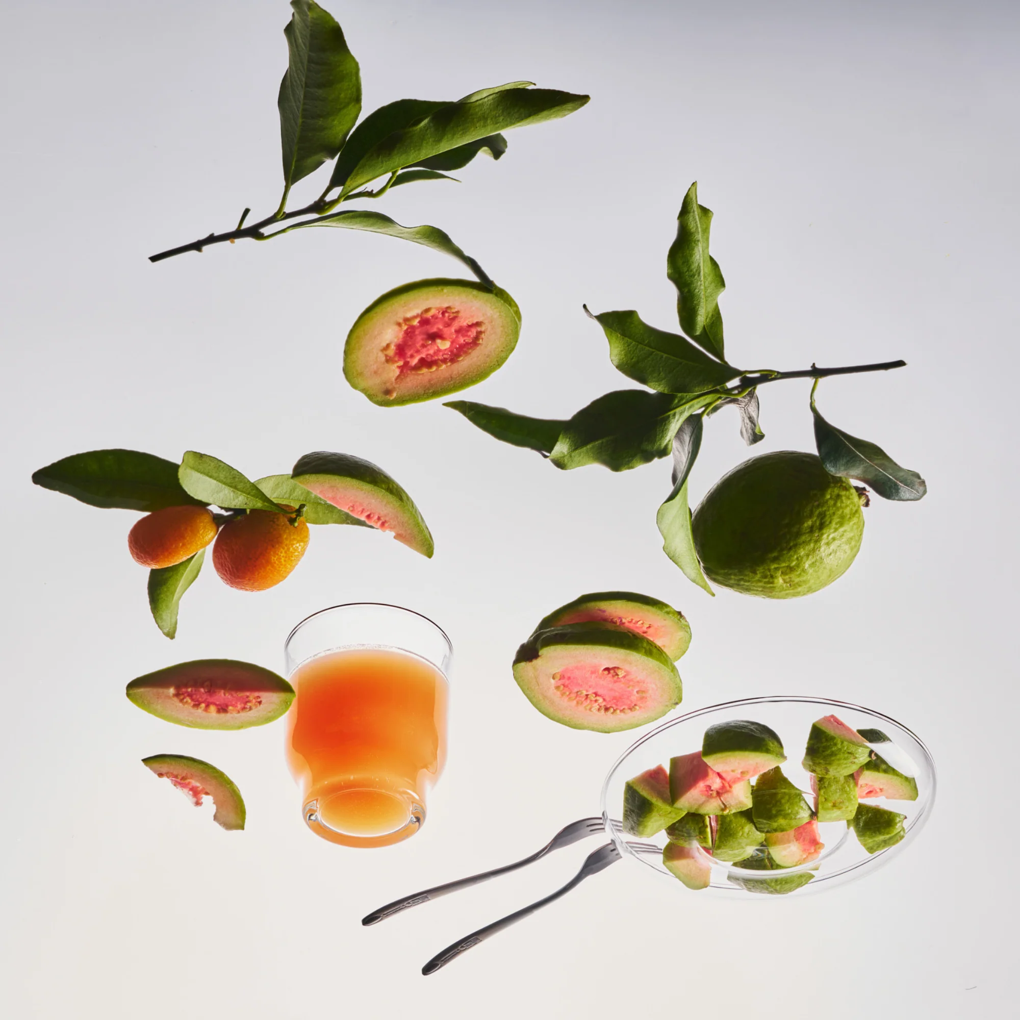 Calamansi Guava Candle Tin - Image 3