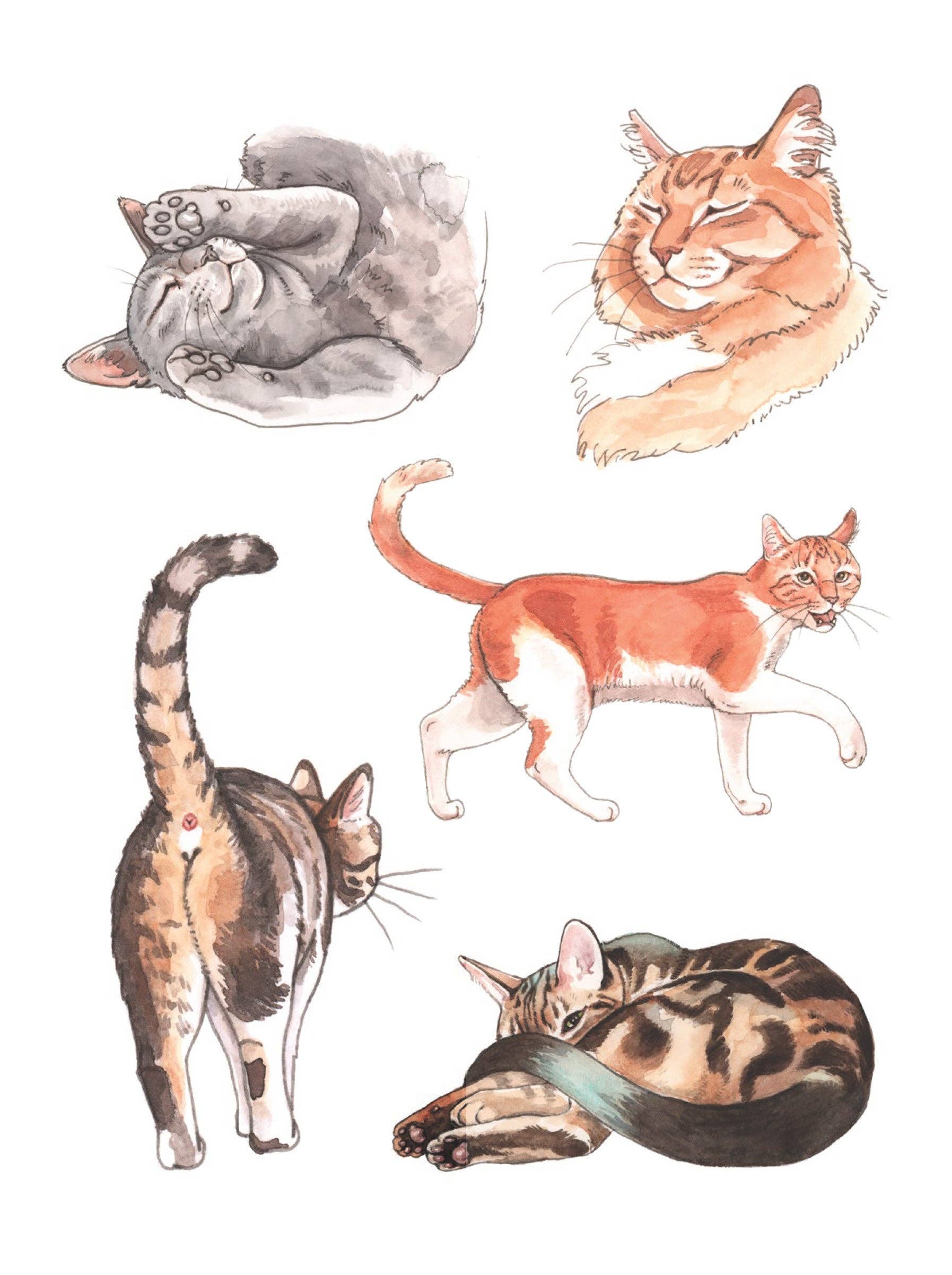 Cat's Meow Sticker Book - Image 4