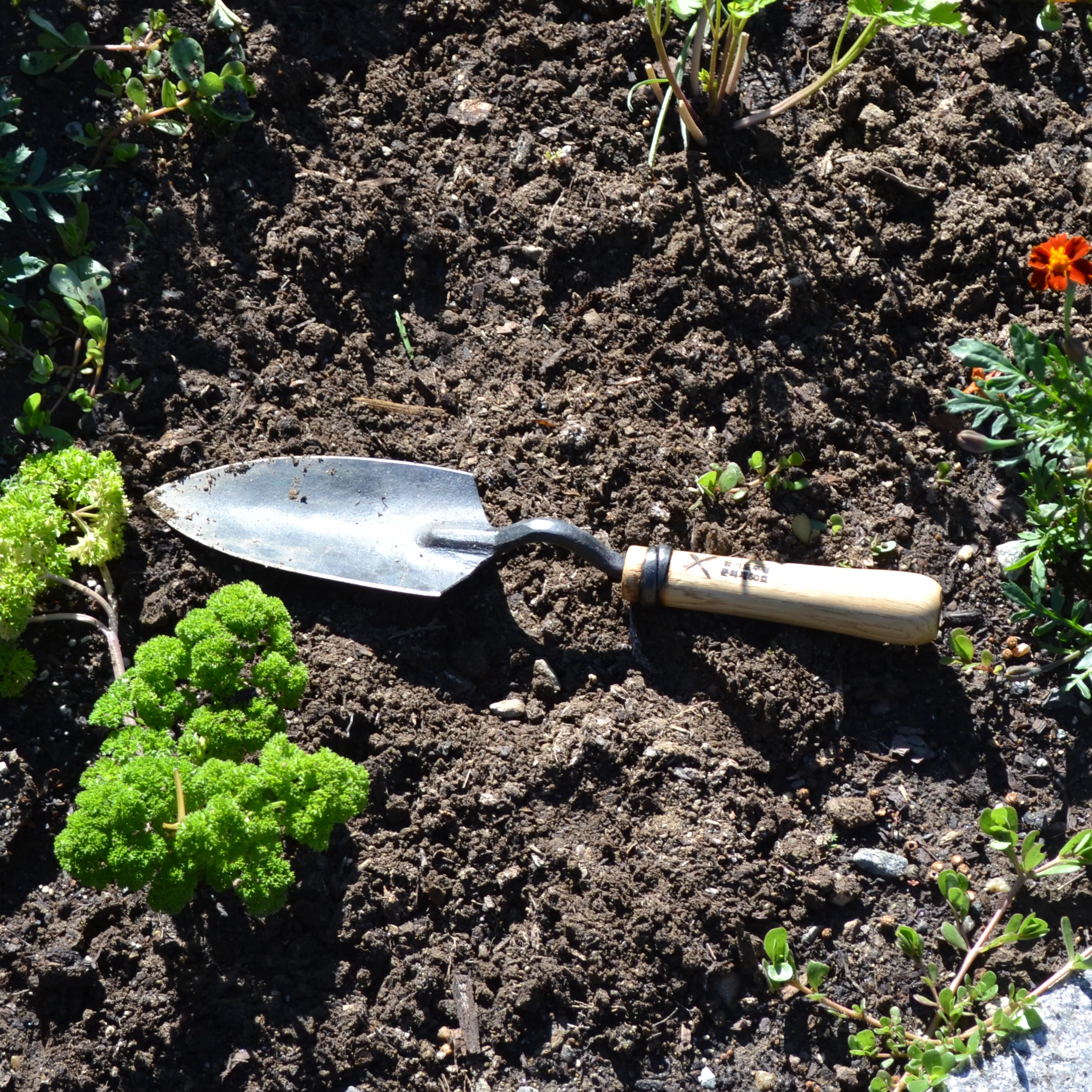Hand Trowel - Image 4