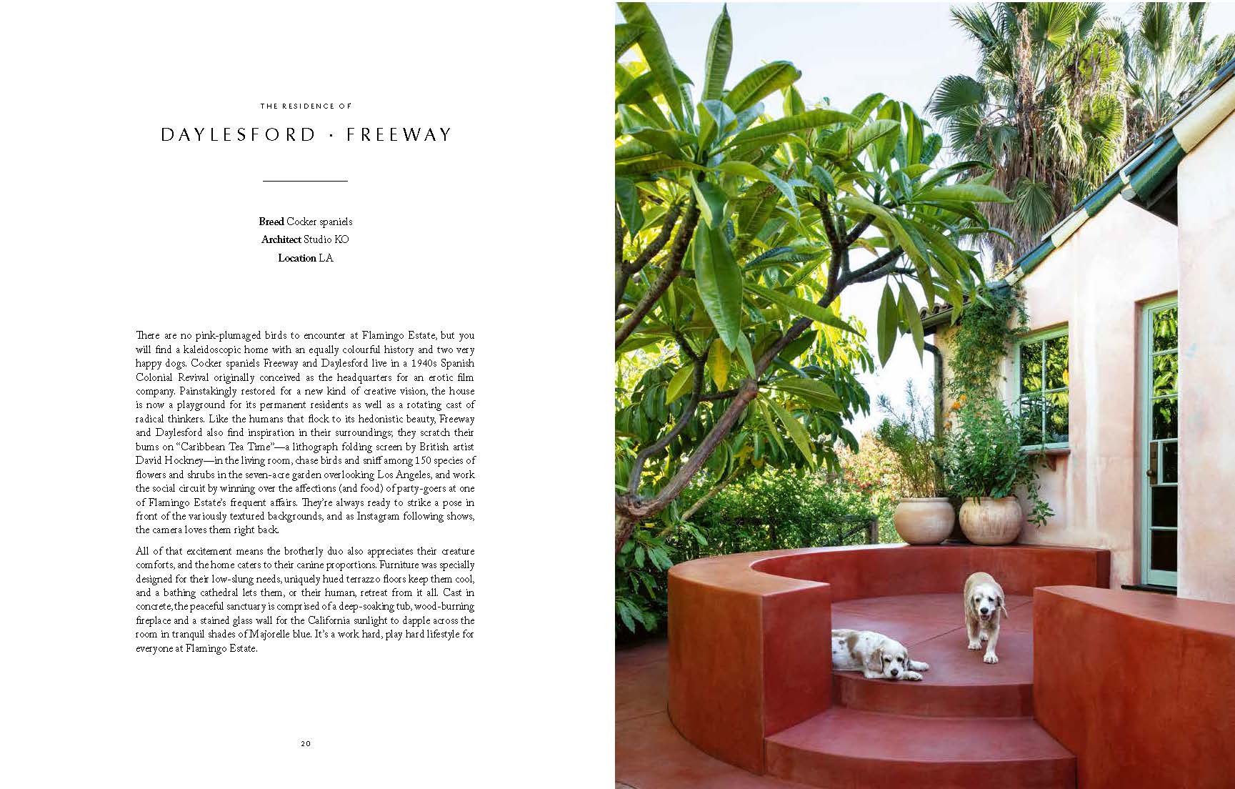 Resident Dog (Volume Two) - Image 3