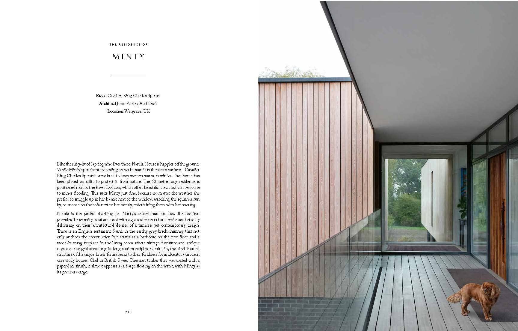 Resident Dog (Volume Two) - Image 6