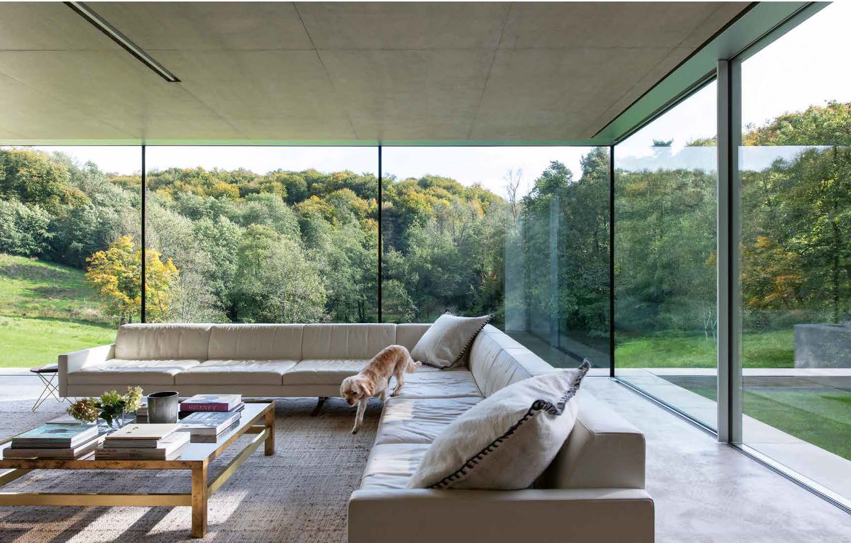 Resident Dog (Volume Two) - Image 7
