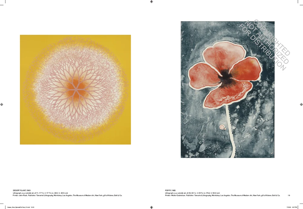 Ruth Asawa: Retrospective - Image 7