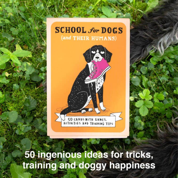 School for Dogs (and Their Humans) - Image 4