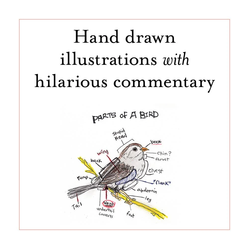 The Field Guide to Dumb Birds of the Whole Stupid World - Image 11