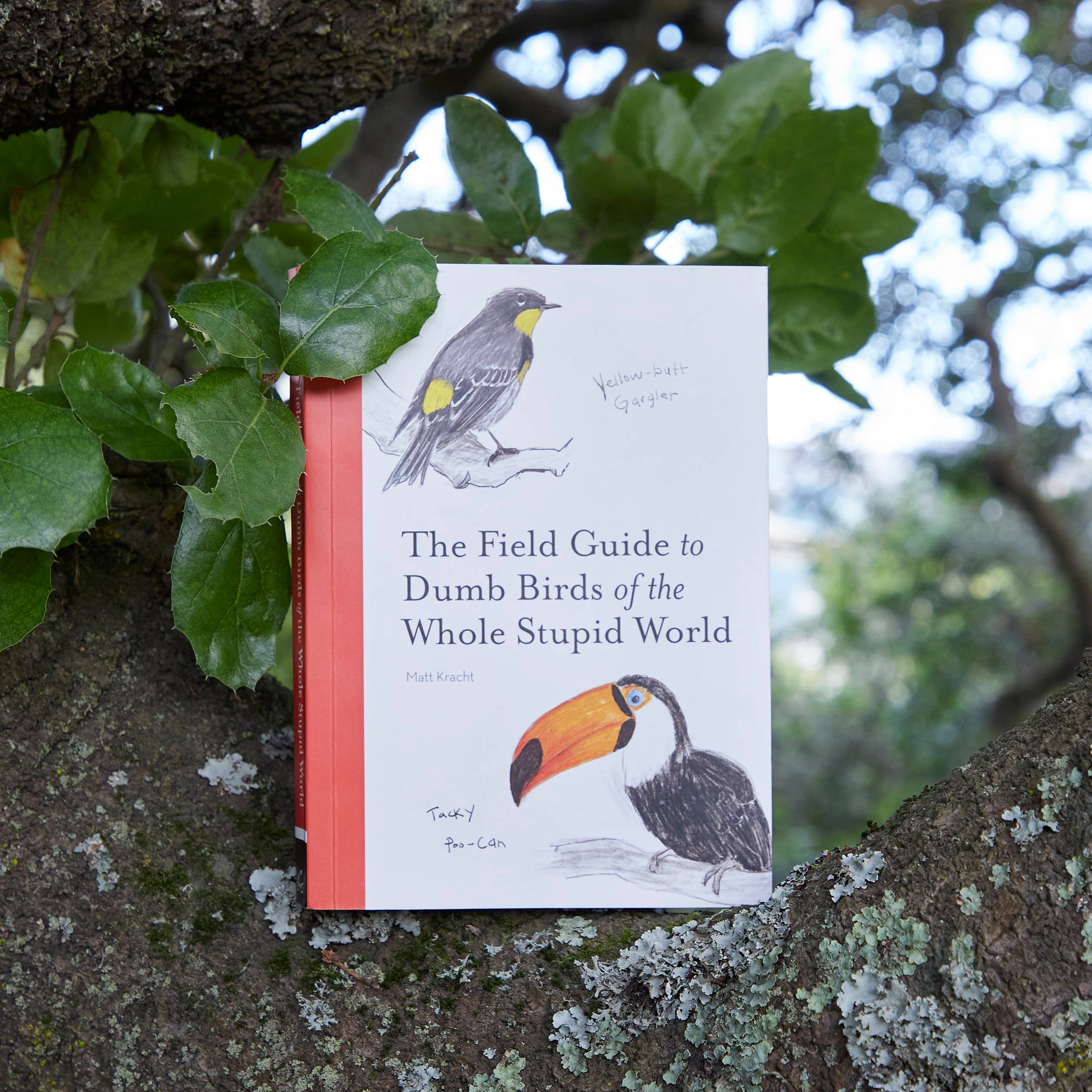 The Field Guide to Dumb Birds of the Whole Stupid World - Image 3