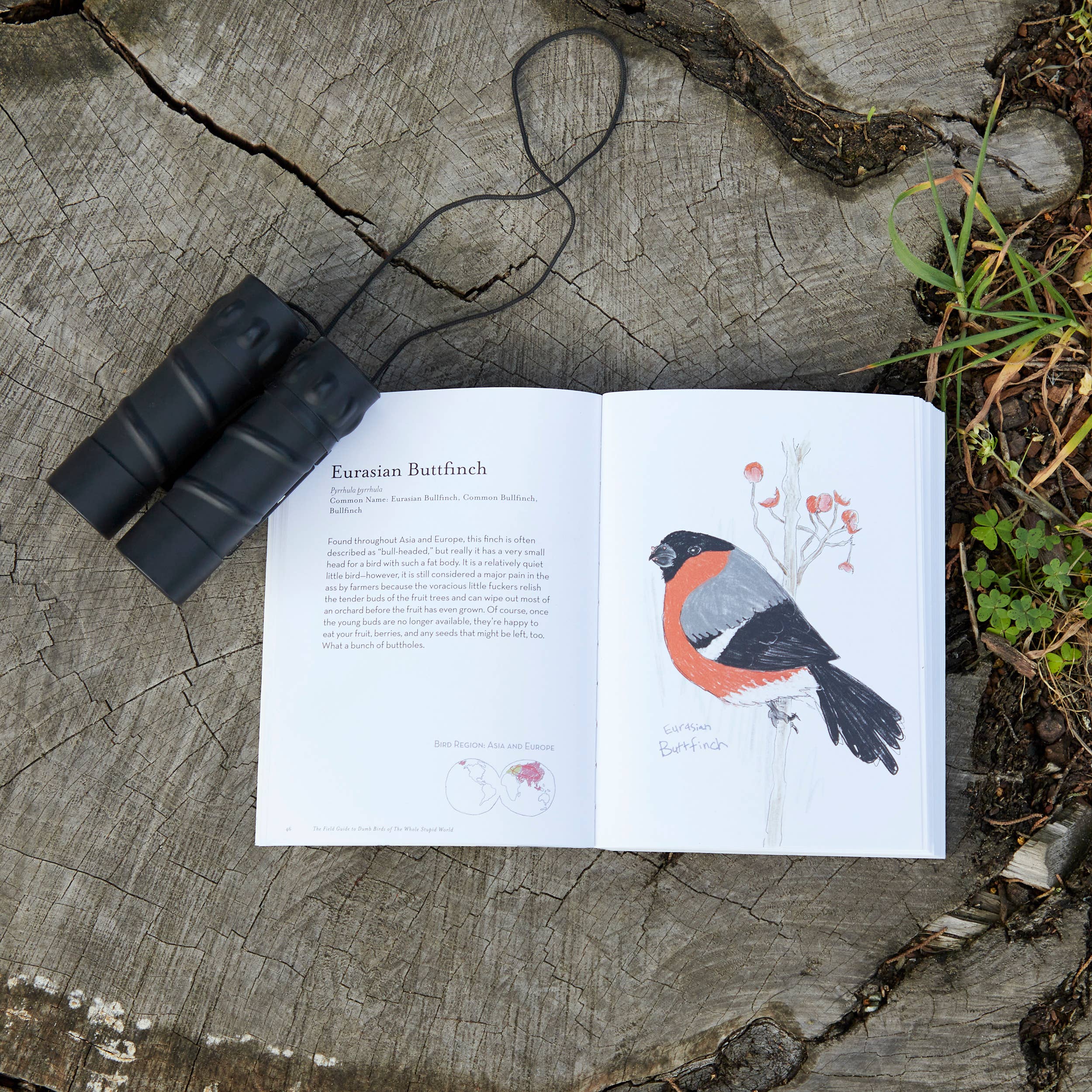 The Field Guide to Dumb Birds of the Whole Stupid World - Image 4