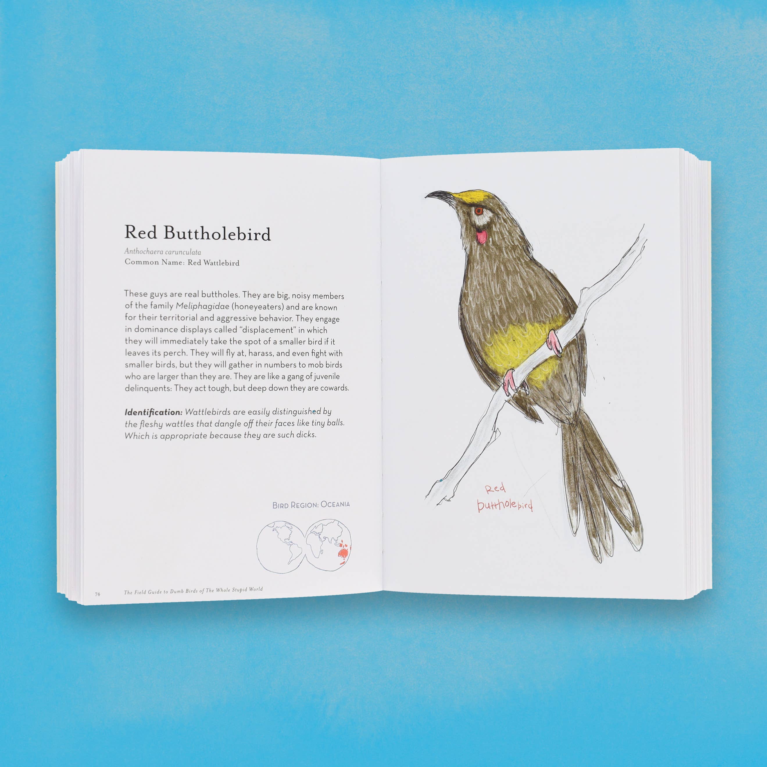 The Field Guide to Dumb Birds of the Whole Stupid World - Image 7