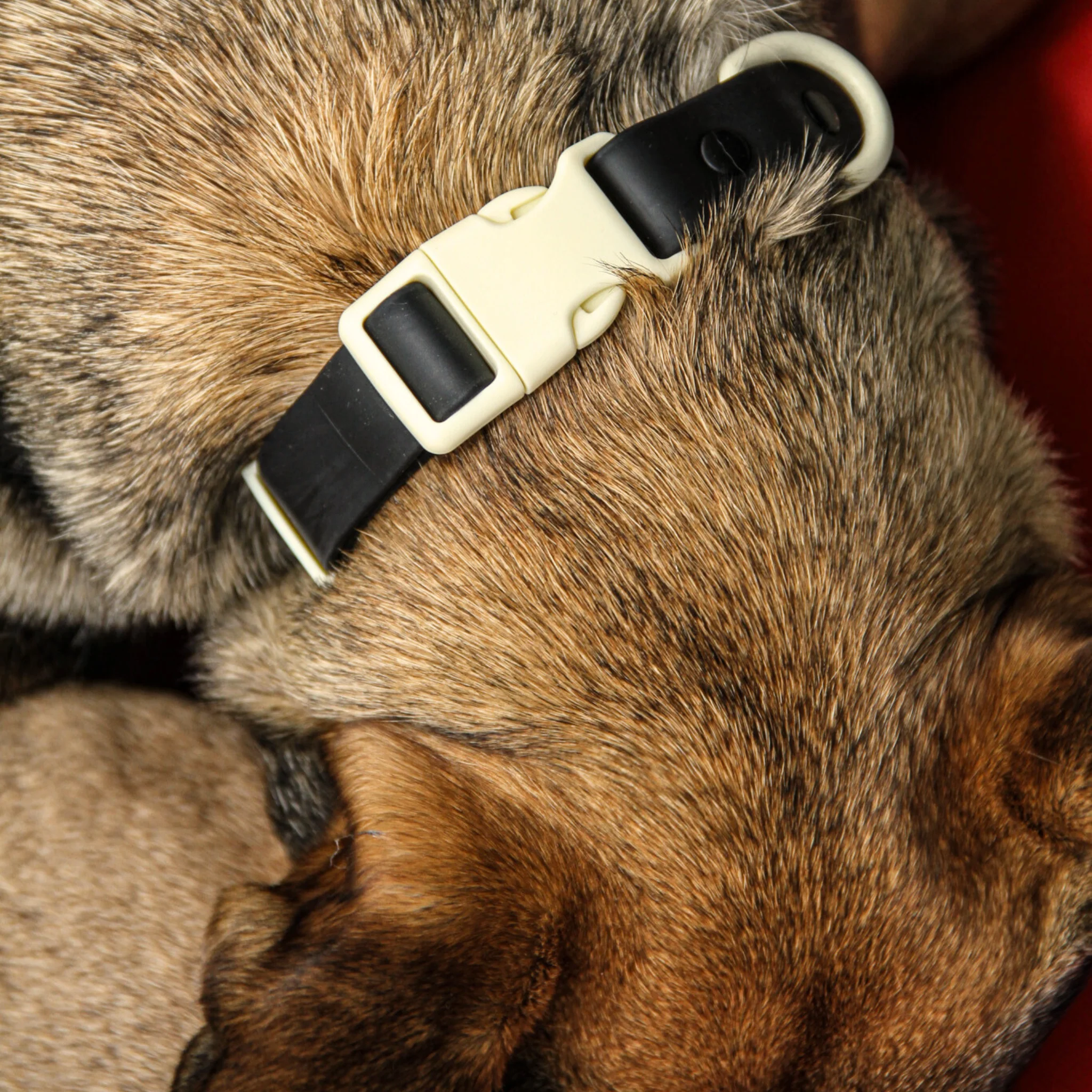 The Fritz Collar : Black Tie White Sand - Image 4