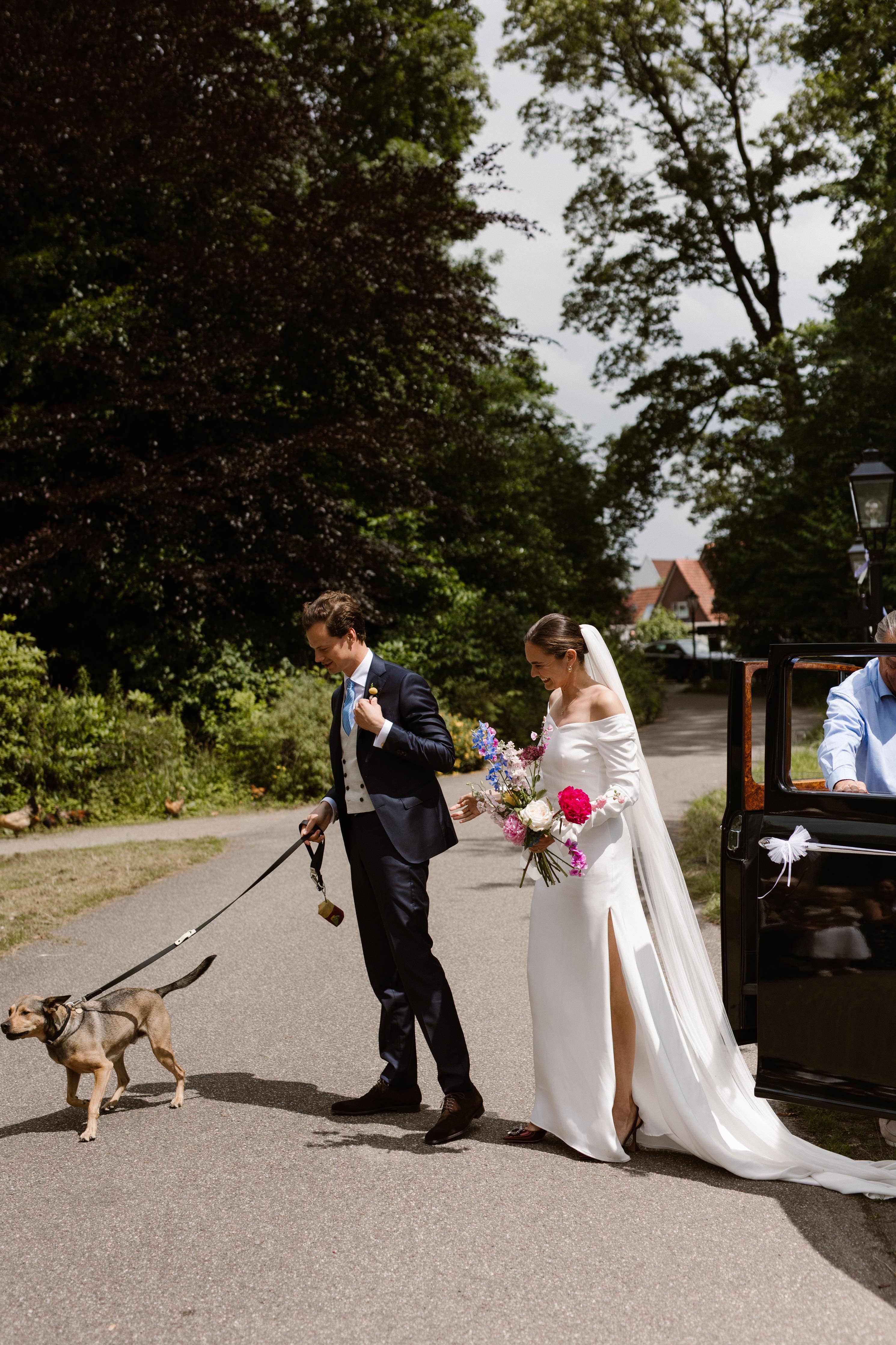 The Fritz Collar : Black Tie White Sand - Image 6