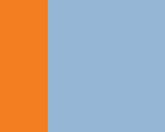 The Fritz Collar : Orange Mango - Image 22