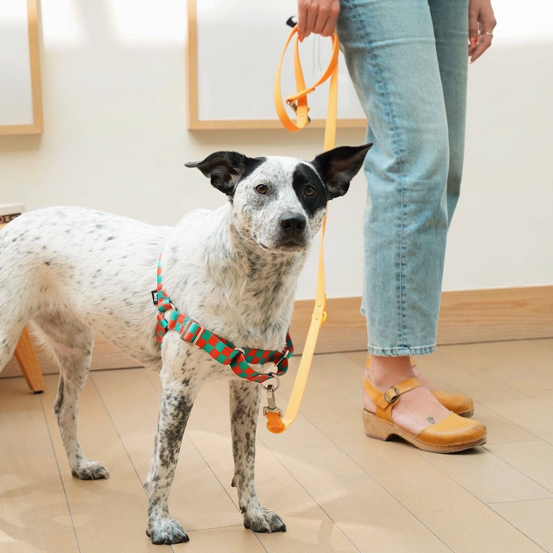 The Fritz Dog Harness | Adjustable, No-Pull & Reversible: Black Creamy / Extra Large - Image 8
