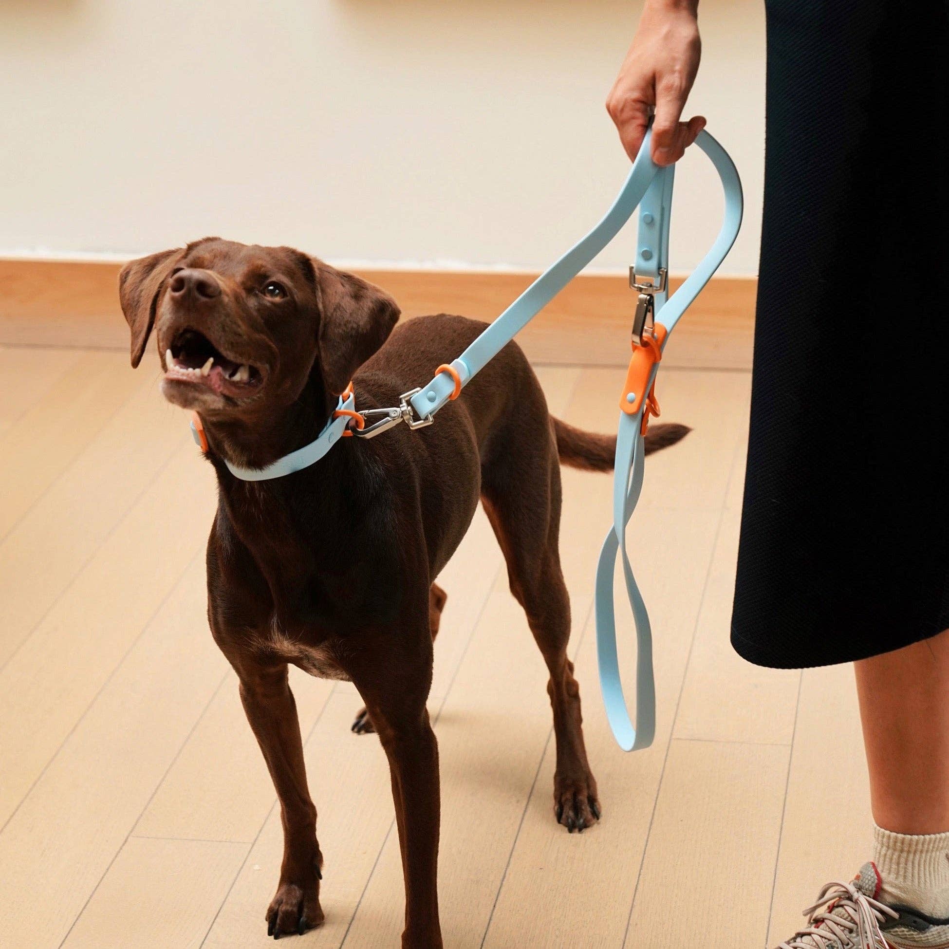 The Fritz Dog Leash | Leash wit Handle | Multi Dog Leash: Orange mango / Small - Image 16