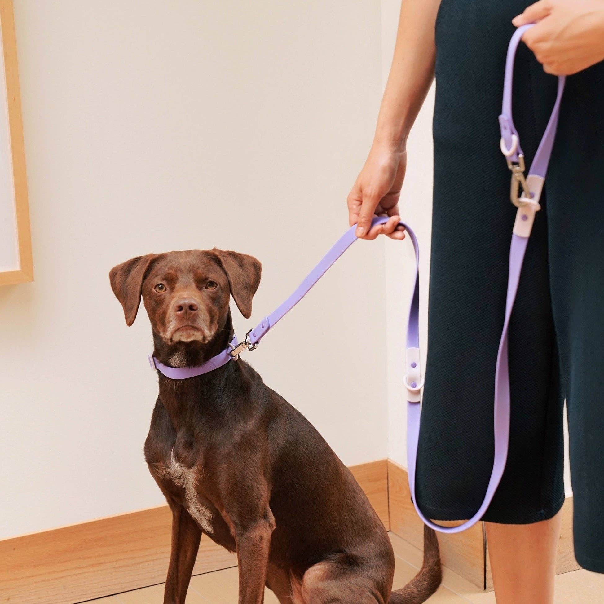 The Fritz Dog Leash | Leash wit Handle | Multi Dog Leash: Orange mango / Small - Image 6