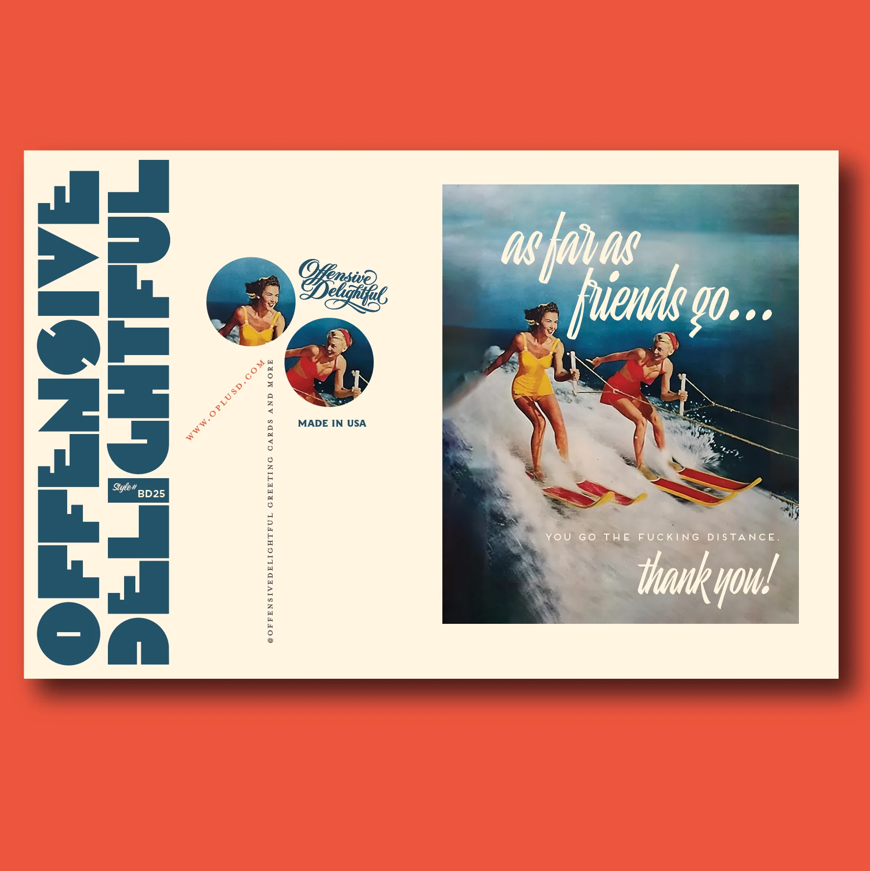 WATERSKI FRIENDS - Image 2